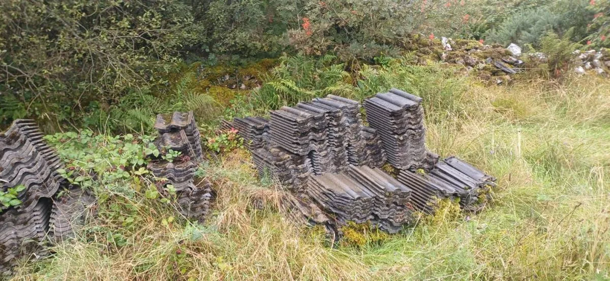Roof  Tiles - Image 2