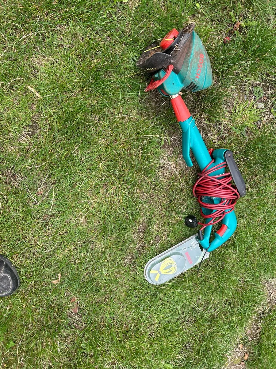 Electric strimmer