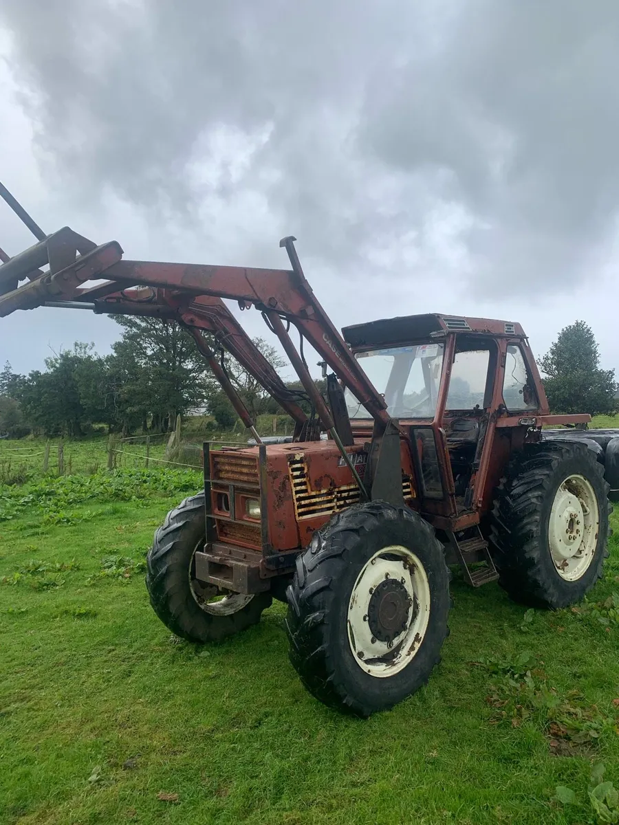 Fiat 880/5 with loader - Image 3