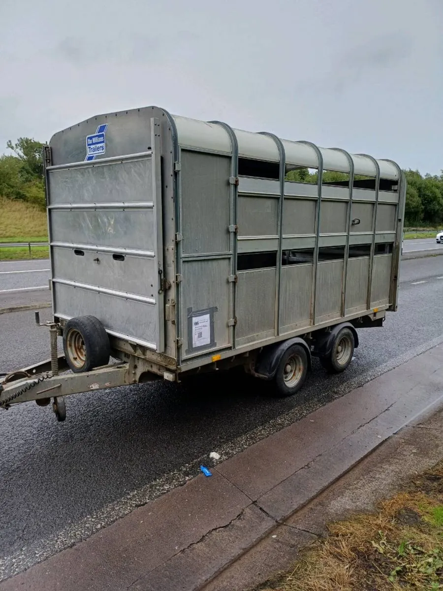 Ifor williams 12ft DP cattle trailer - Image 2