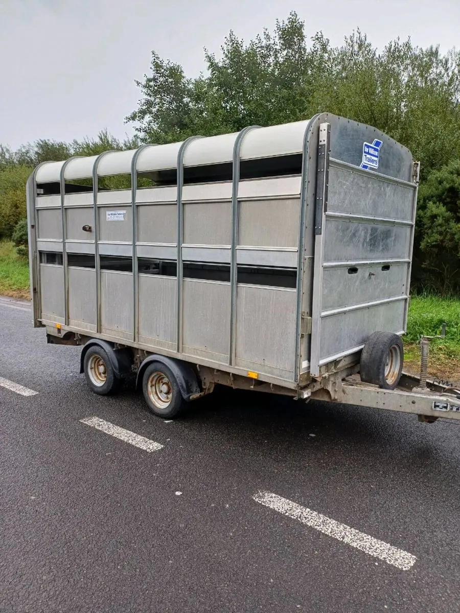Ifor williams 12ft DP cattle trailer - Image 1