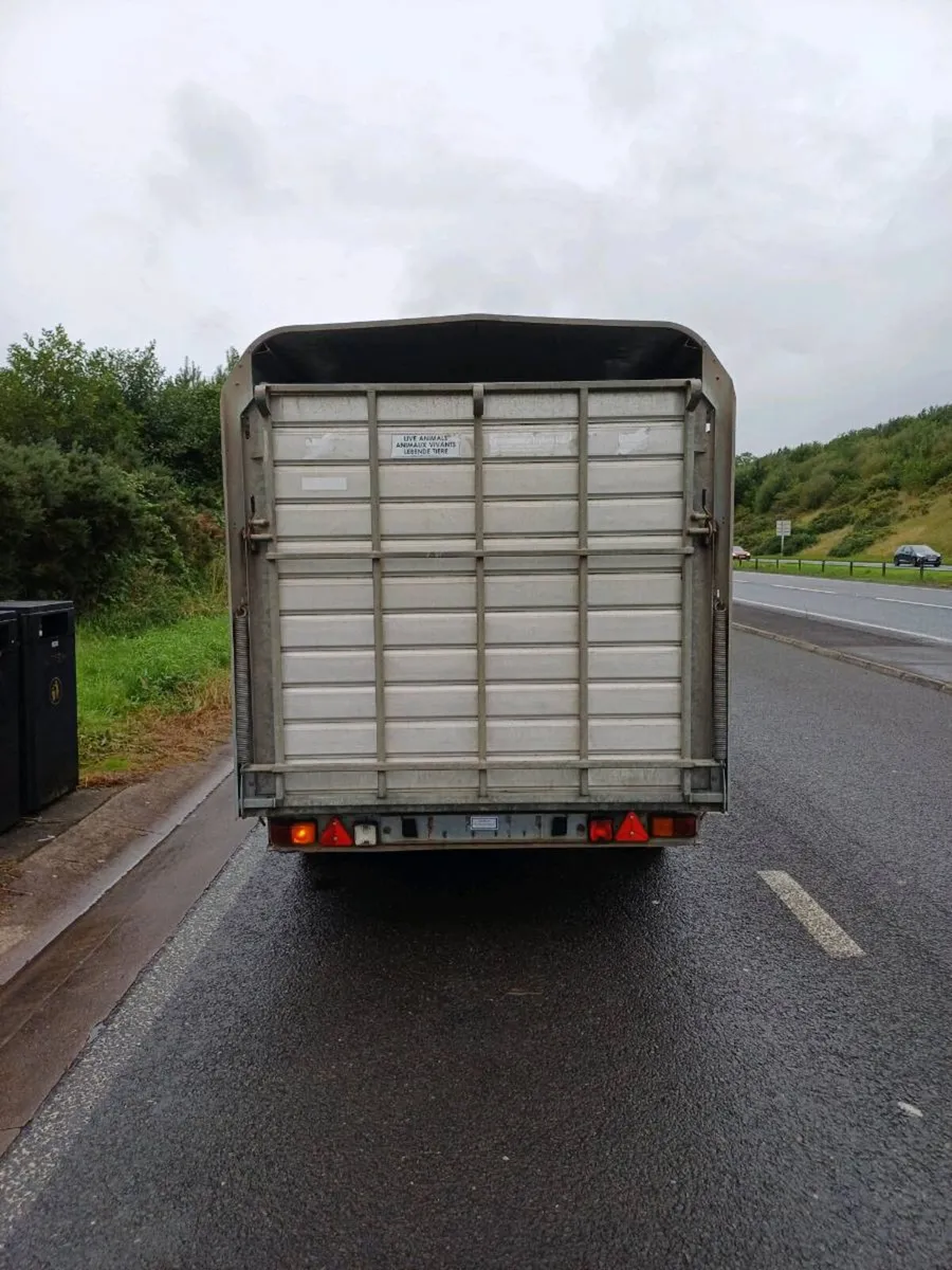 Ifor williams 12ft DP cattle trailer - Image 3