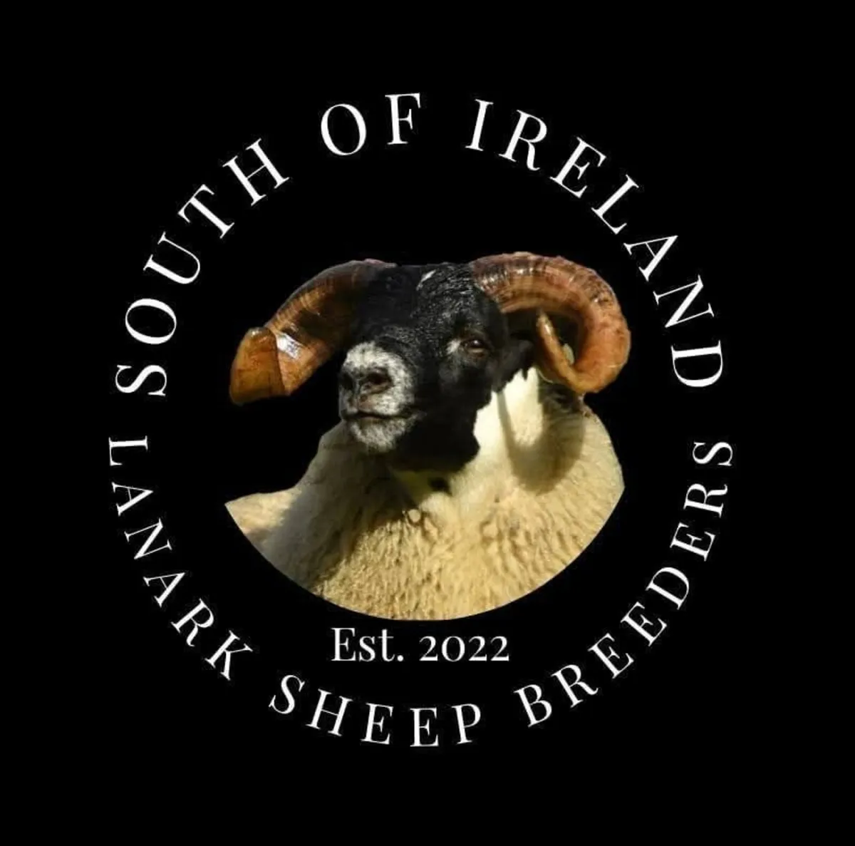 SOI Lanark Sale - Image 2