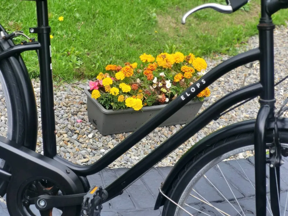 LADIES CITY  BIKE EX CONDITION. FIXED PRICE - Image 2