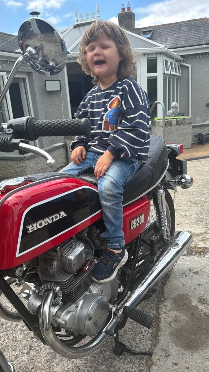 Honda Other 1978 - Image 4