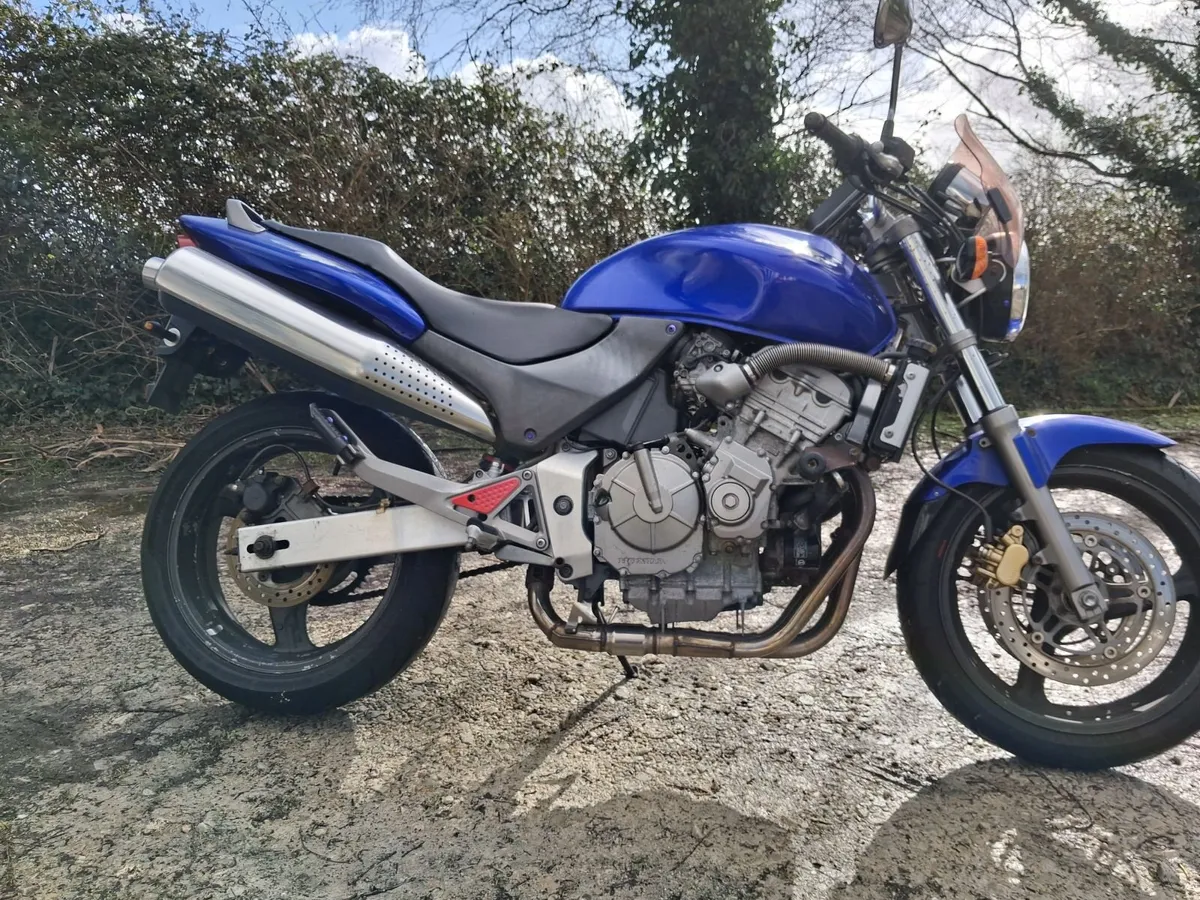 Honda CB600F Hornet 600, 2001 - Image 1