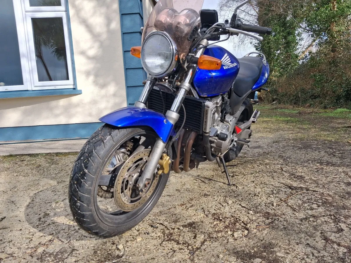 Honda CB600F Hornet 600, 2001 - Image 3