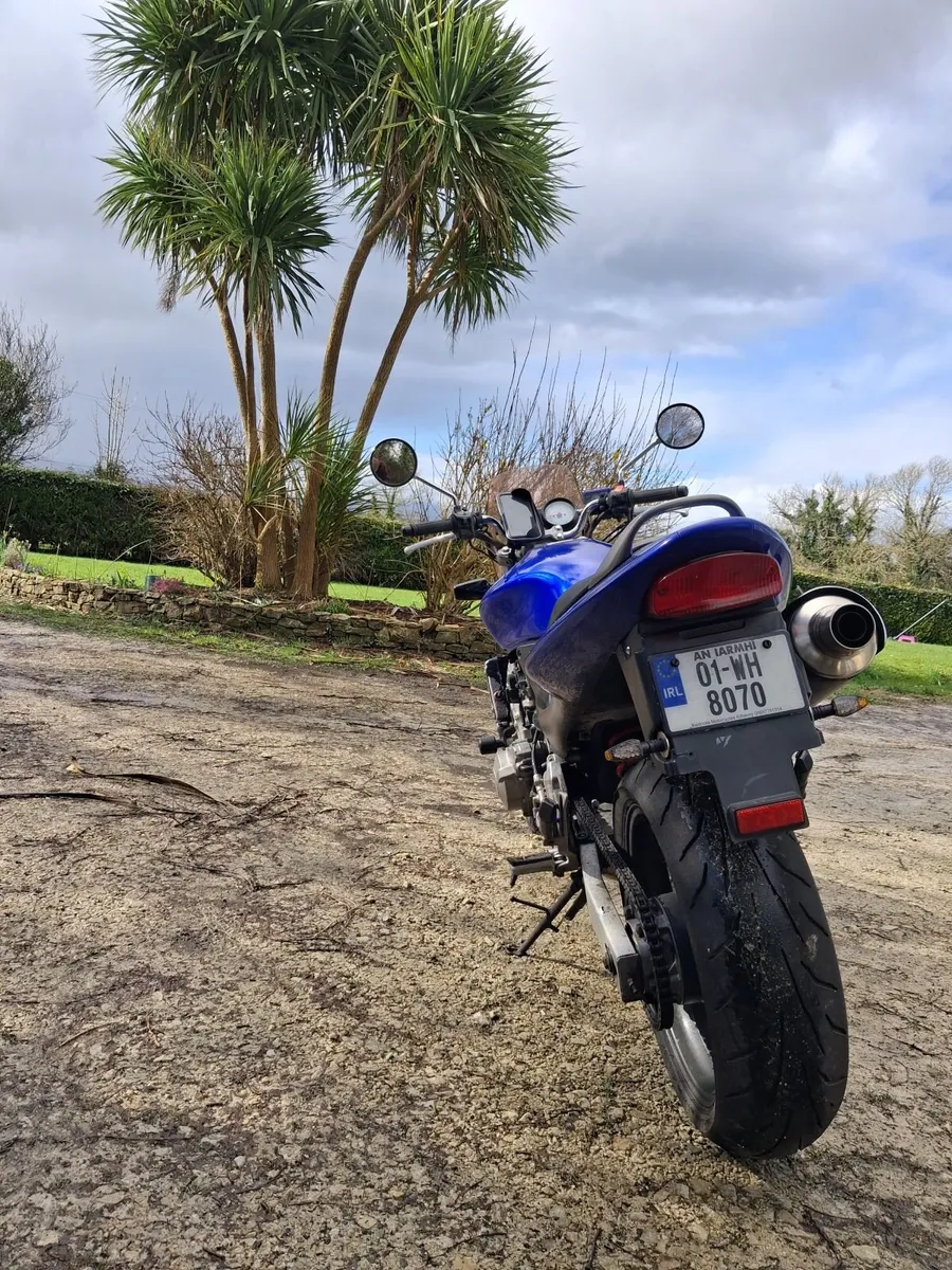 Honda CB600F Hornet 600, 2001 - Image 4