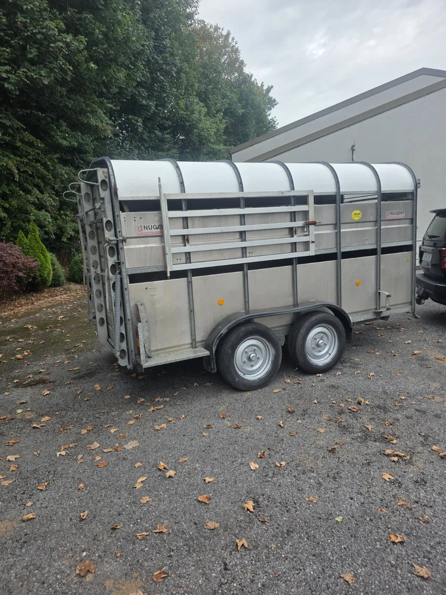 12ft nugent livestock trailer - Image 3