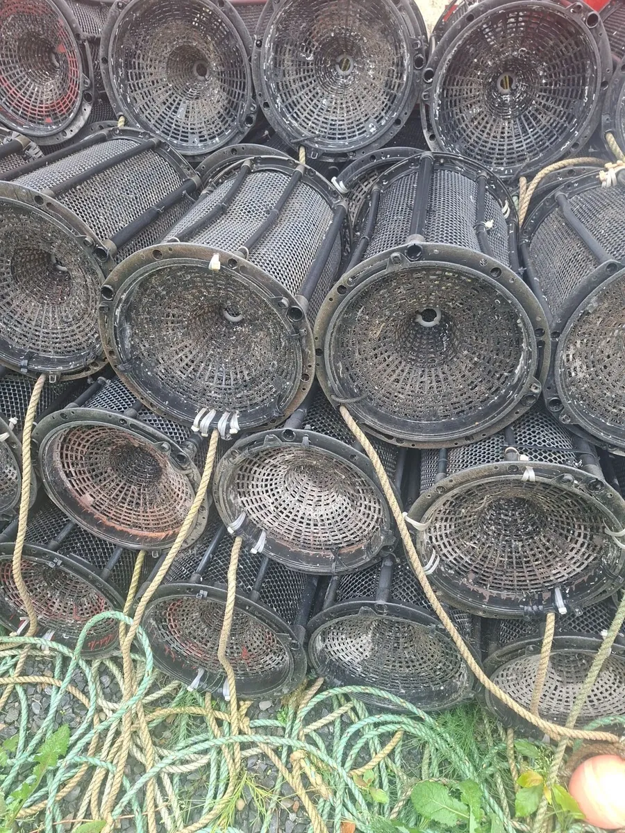 Shrimp pots - Image 2