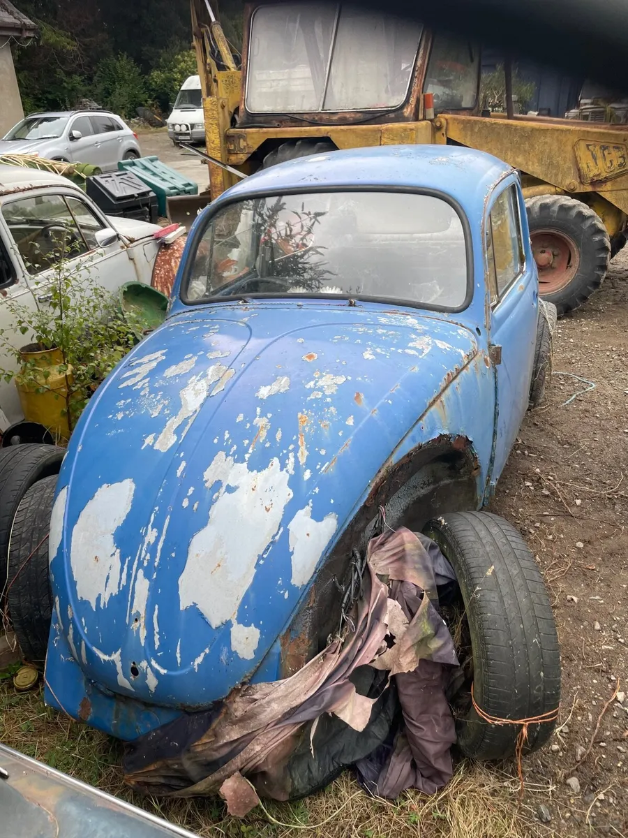 Volkswagen Bettle