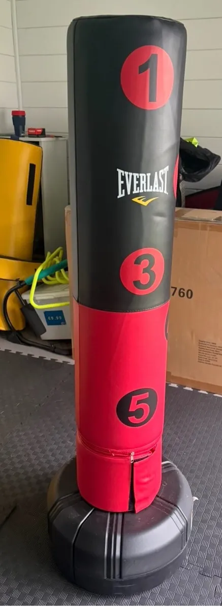 Everlast Target Free Stand Punching Bag