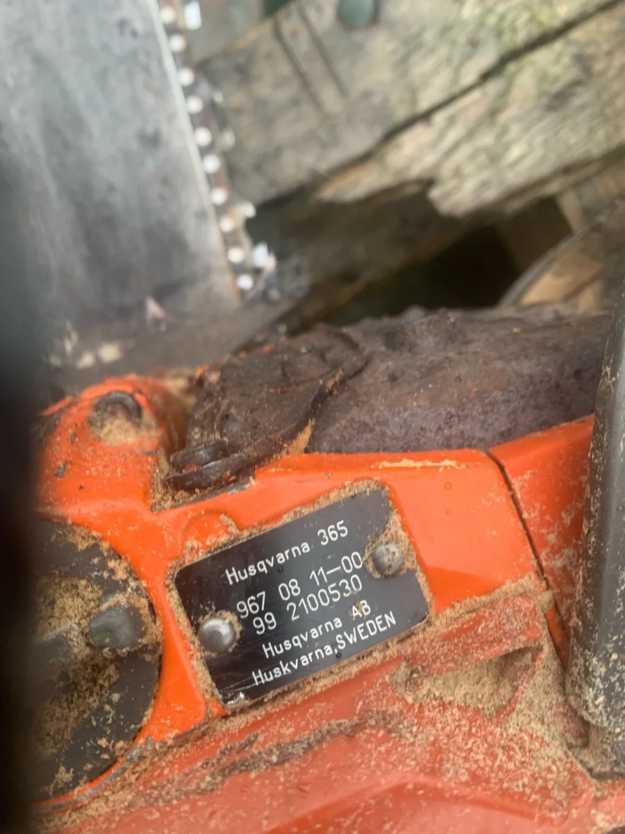 Chainsaw - Image 1