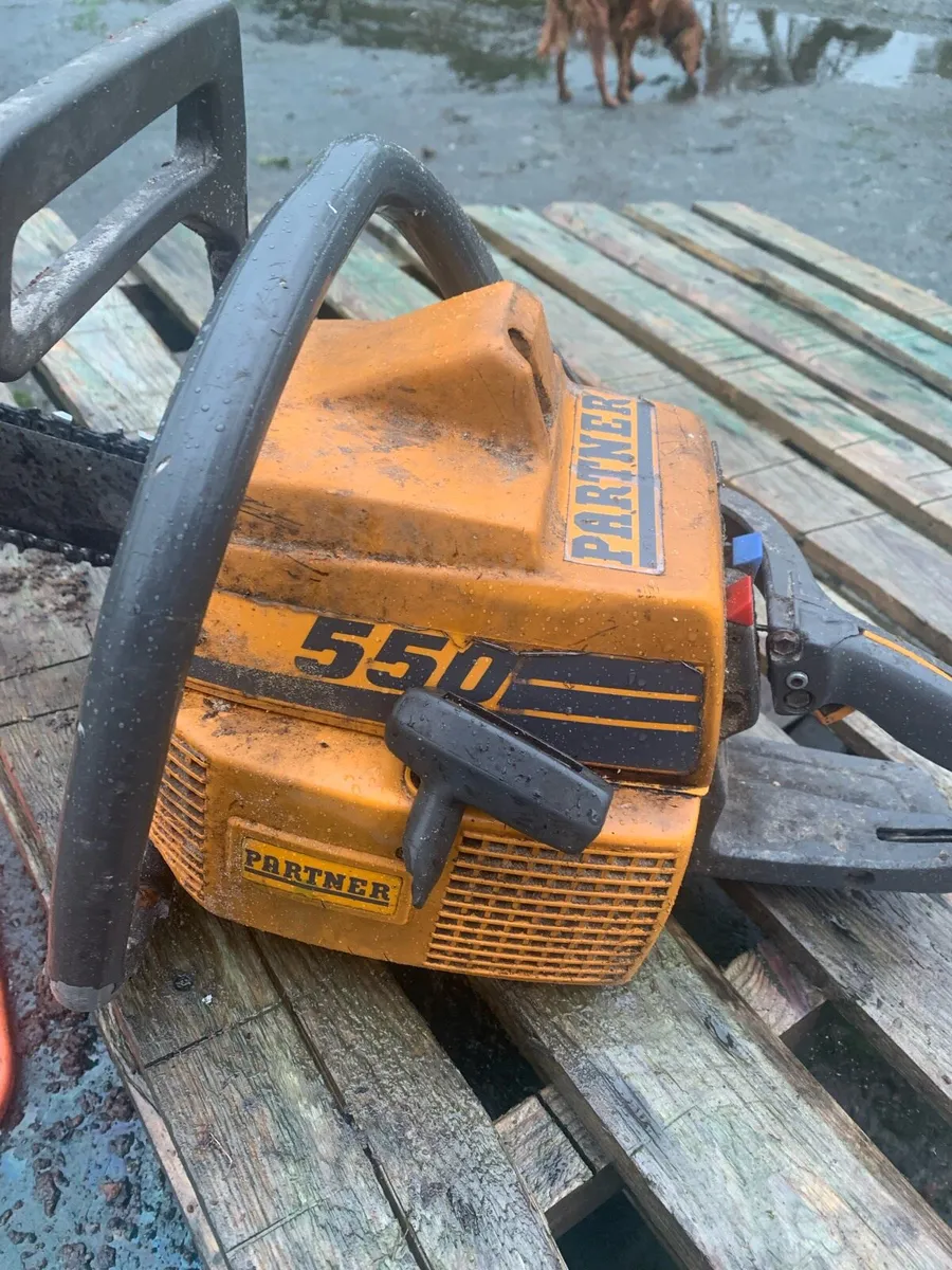 Chainsaw - Image 4