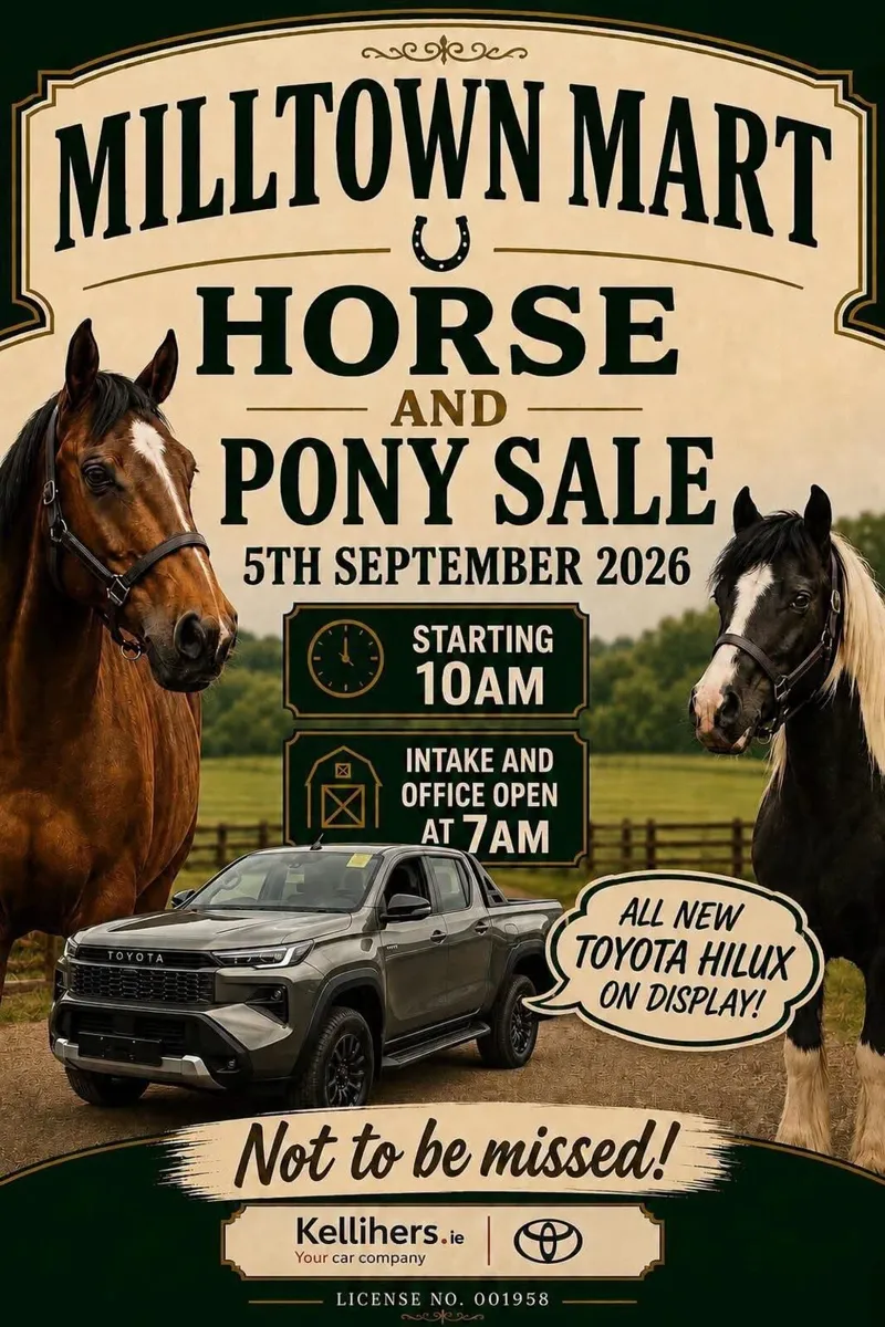 Horse and Pony Sale Mid Kerry Co-Op Mart - Image 2