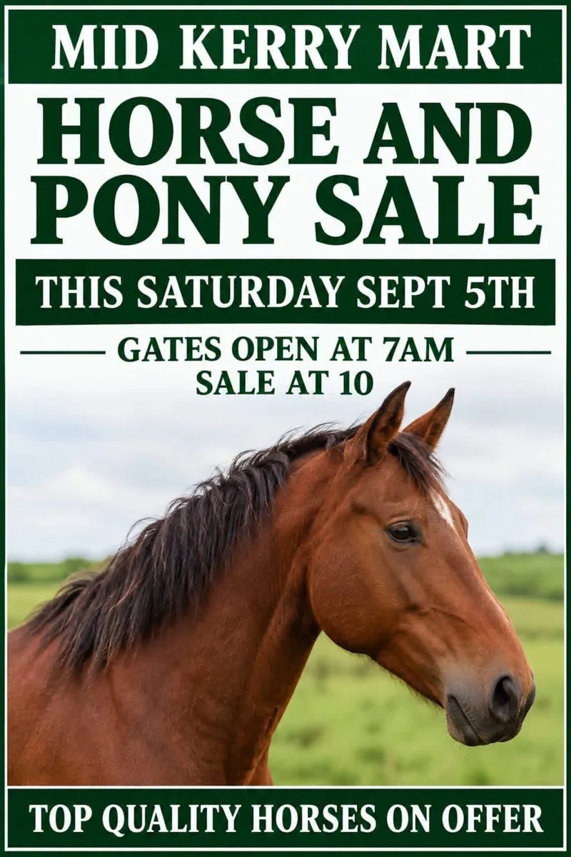 Horse and Pony Sale Mid Kerry Co-Op Mart - Image 1