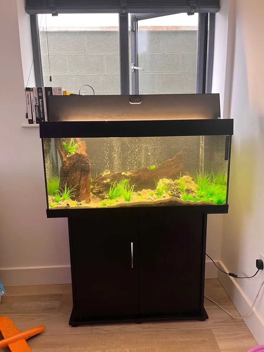 Fish tank - Image 1