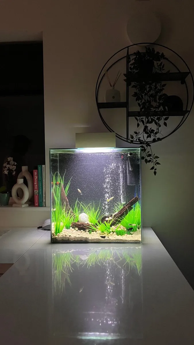 Fish tank - Image 1