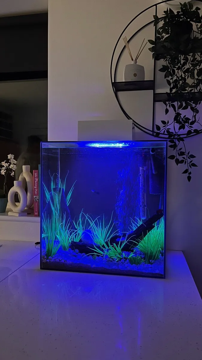 Fish tank - Image 2