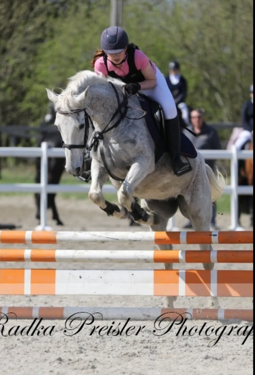 Pony - Image 3