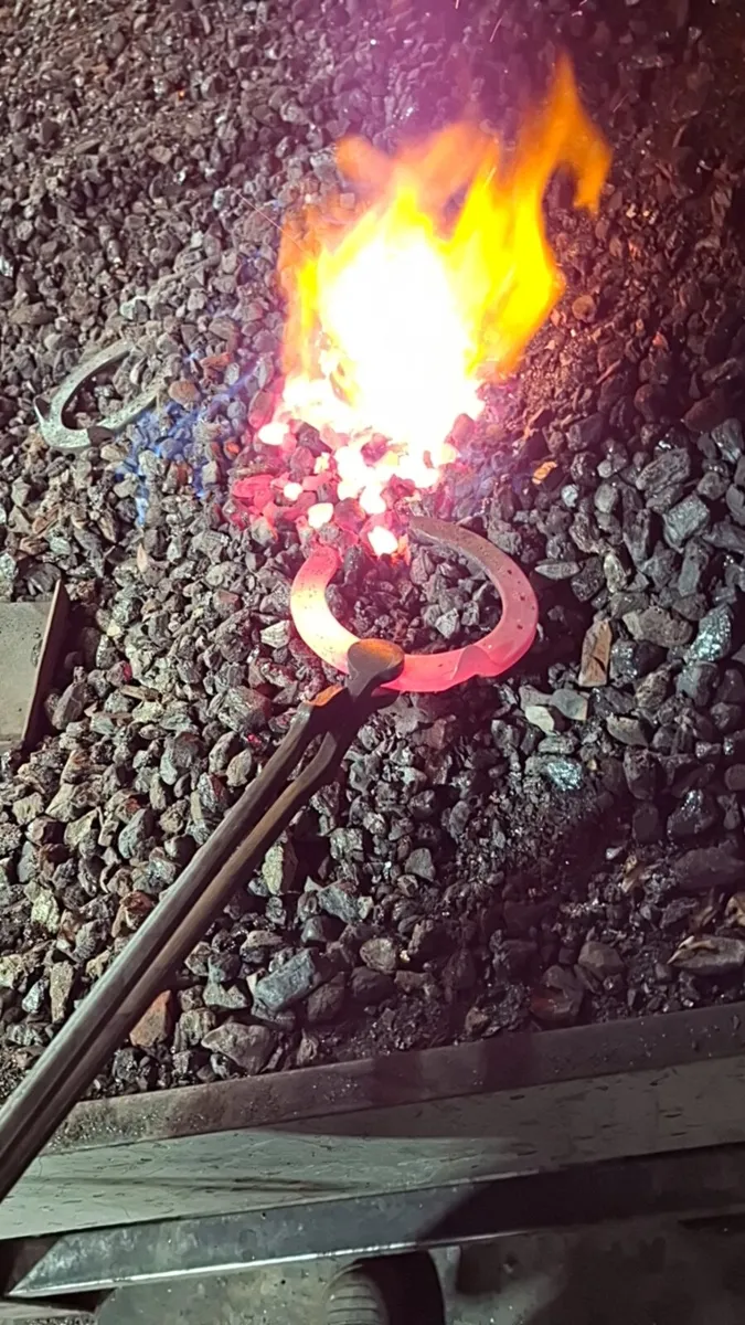 Farrier - Image 3