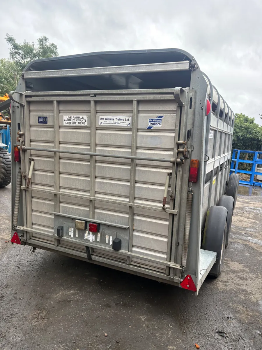 Ifor Williams 12ft cattle trailer - Image 2