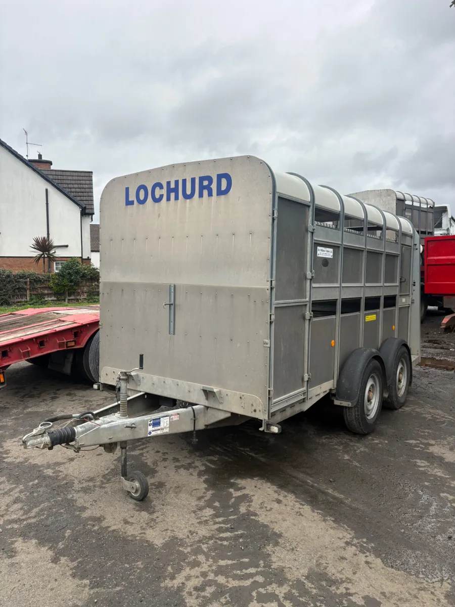 Ifor Williams 12ft cattle trailer - Image 1