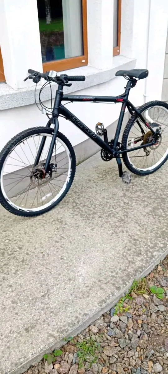 Adult bike - Image 1