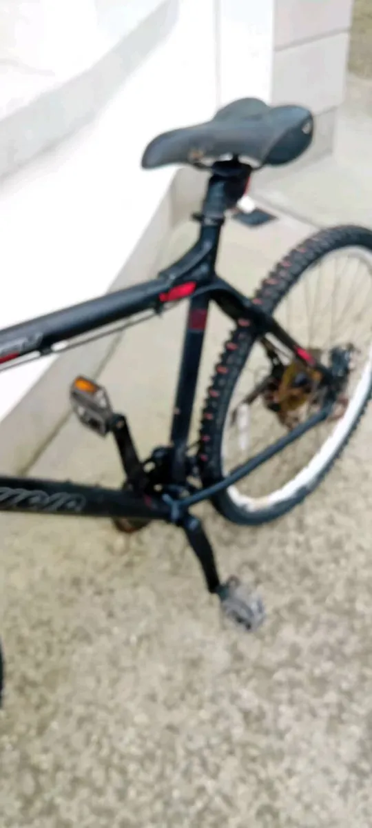 Adult bike - Image 3