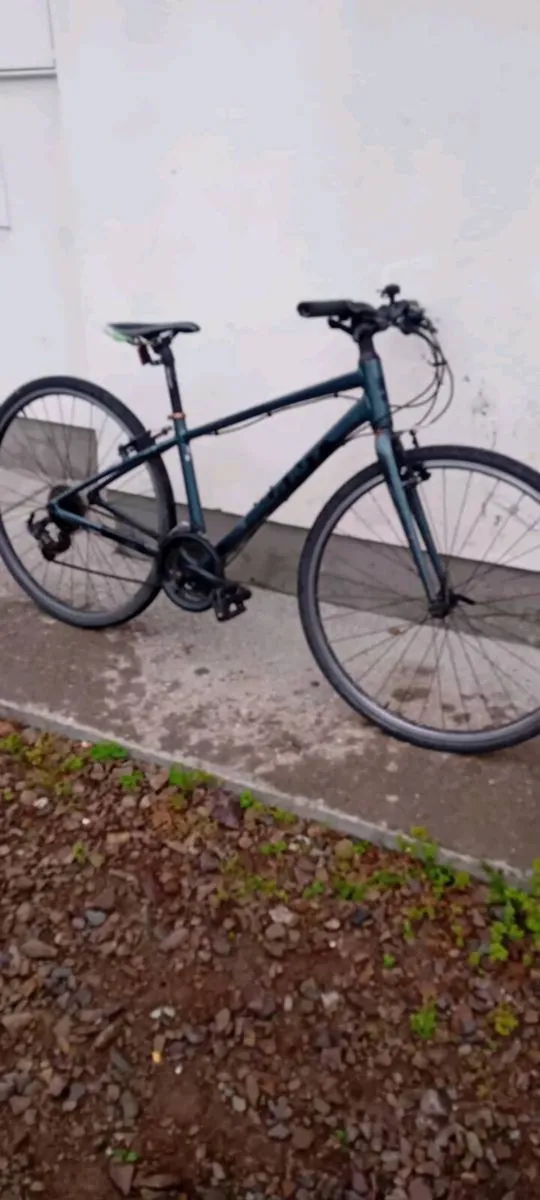 Small giant hybrid bike - Image 1