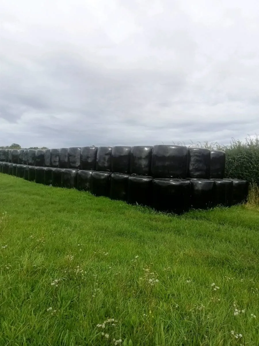 Quality round bales organic silage