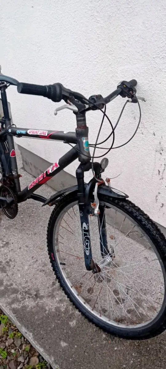 Adult bike Aluminium frame - Image 2