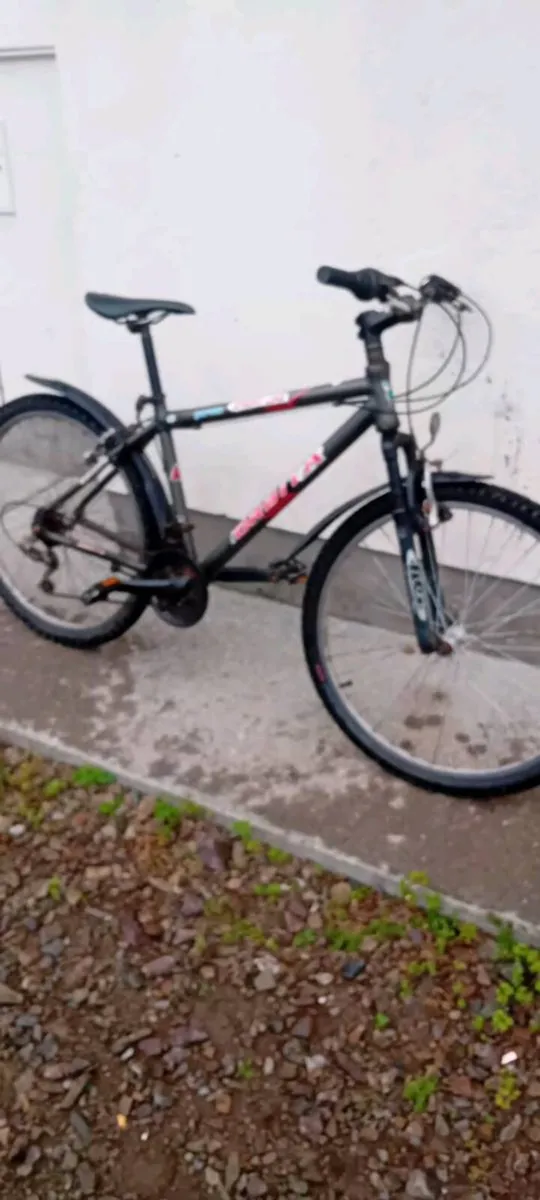 Adult bike Aluminium frame - Image 1