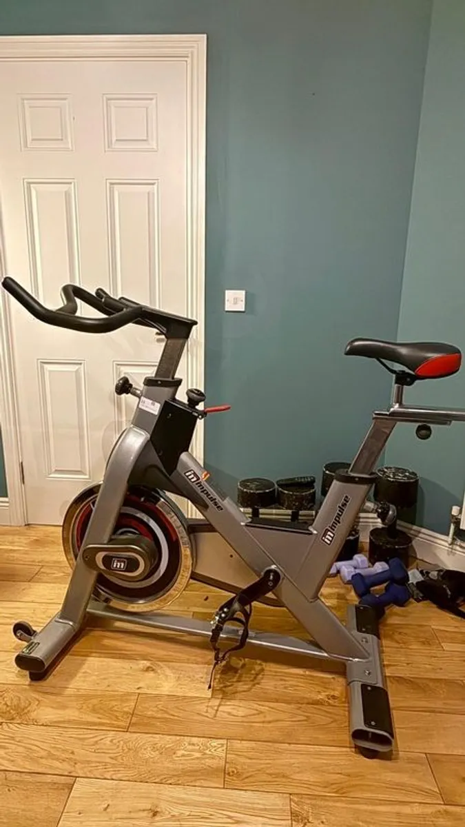 Spin Bike/Indoor Bicycle - Image 1