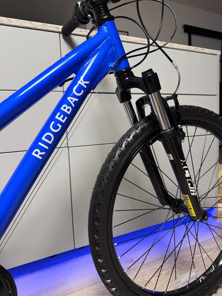 Ridgeback MX24 Kids Bike 24 inch - Image 3