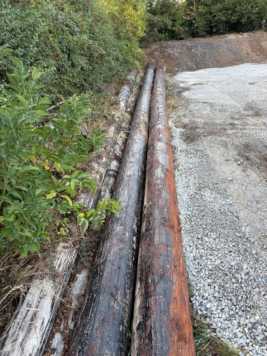ESB poles - Image 1