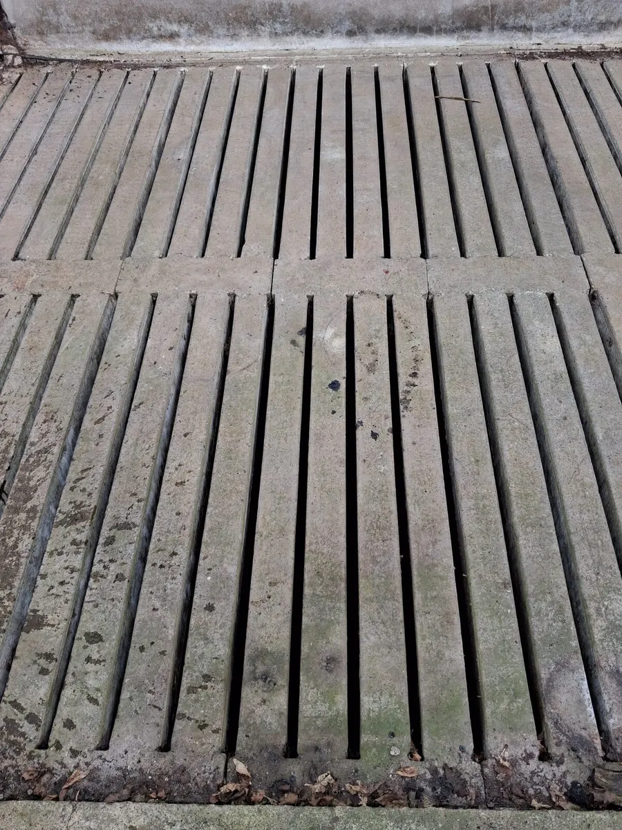 23 Concrete cattle slats - Image 1