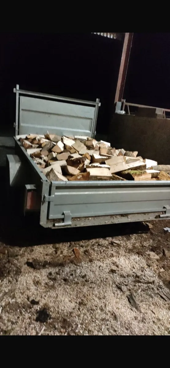 Firewood - Image 2