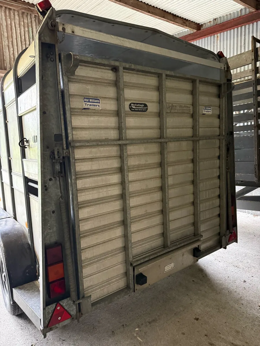 Cattle Trailer - Image 3