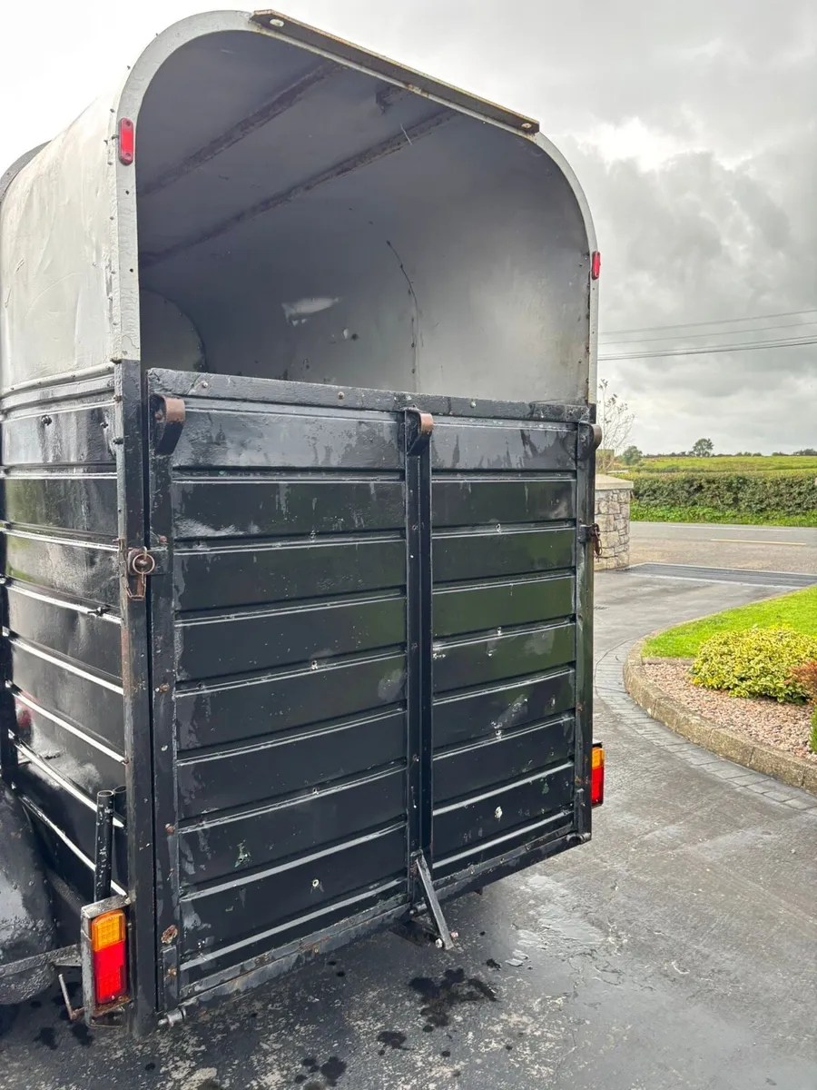 Rice horsebox - Image 4