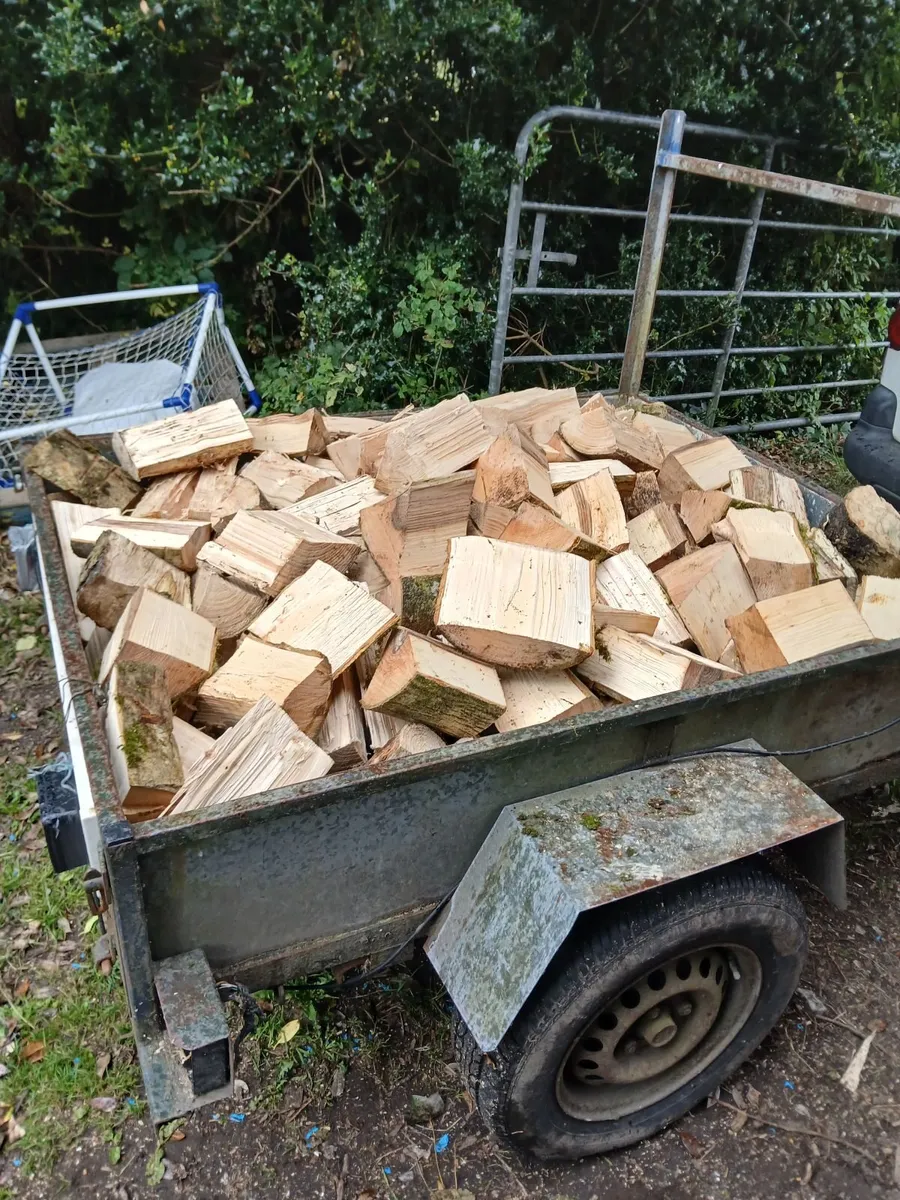 Firewood bags Hardwood €5 Softwood €4 - Image 4