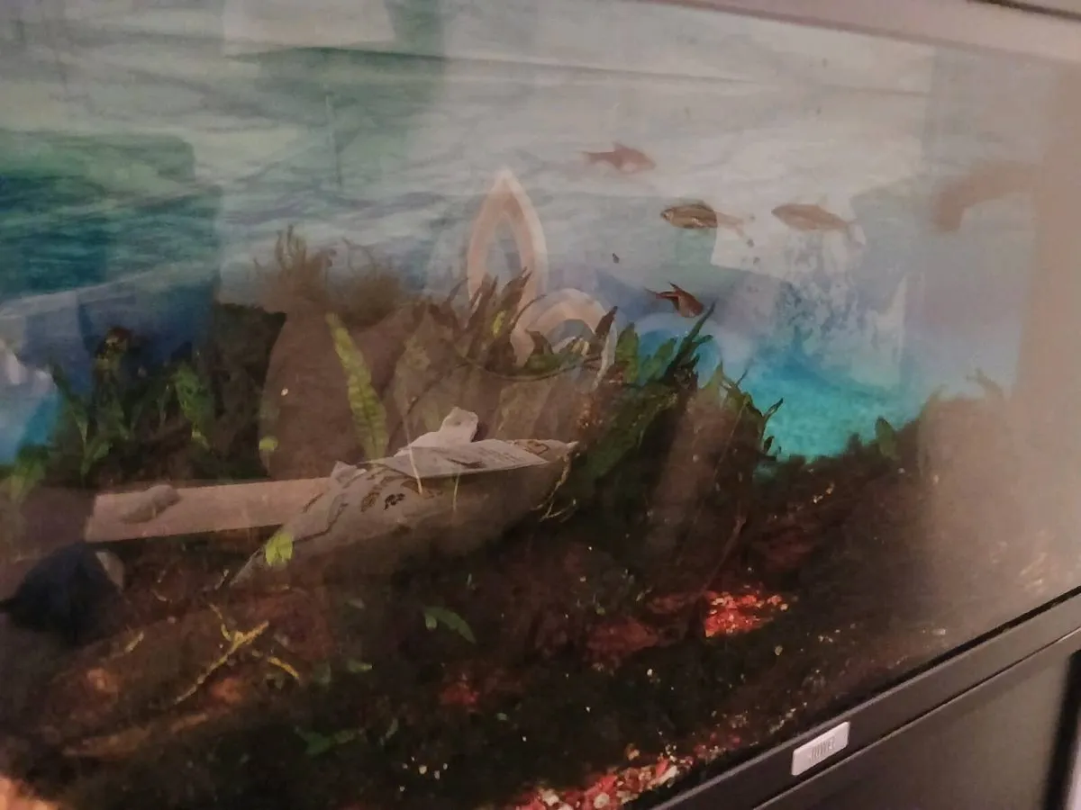 Jewel Rio 180L Fish Tank - Image 2