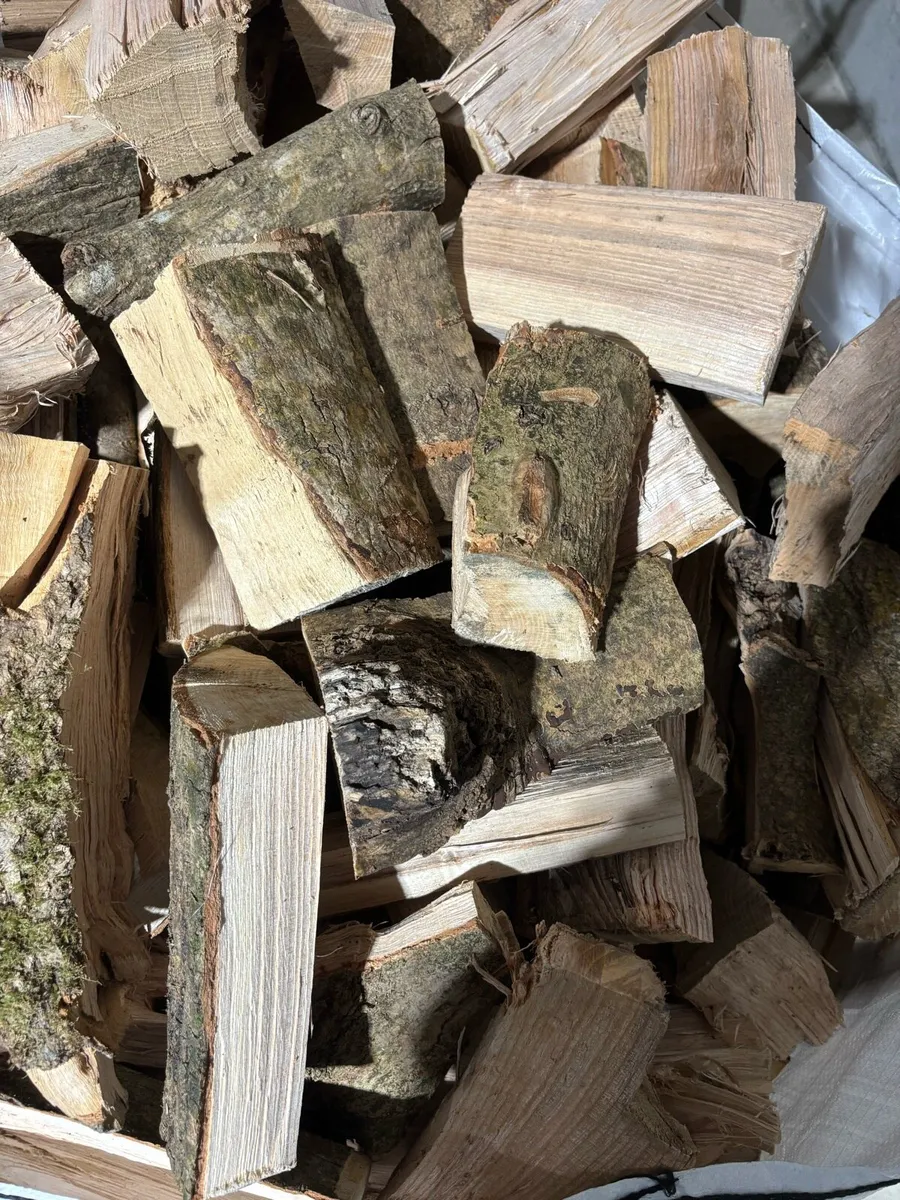 Hardwood ash firewood - Image 2