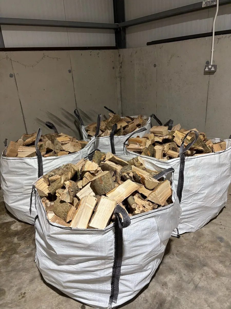 Hardwood ash firewood - Image 1