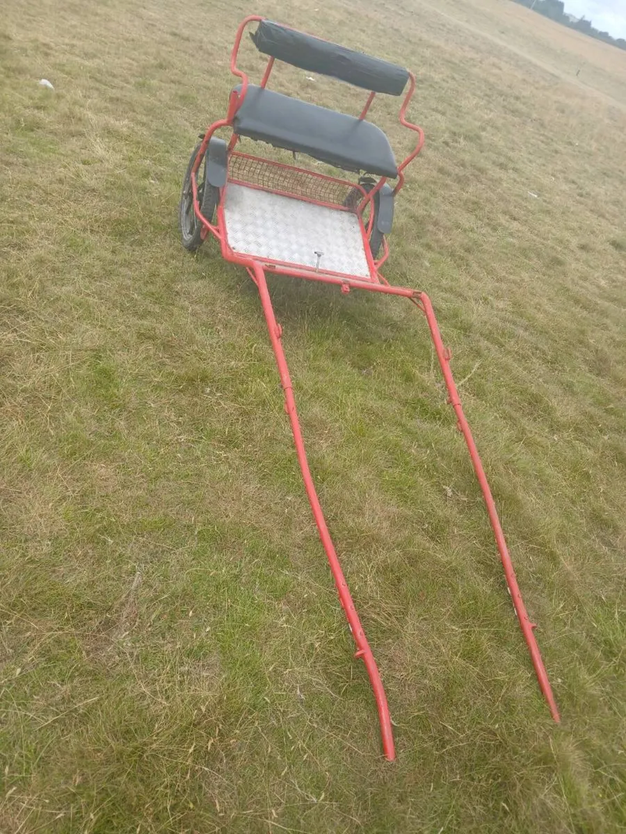 Carts and sulkys - Image 1