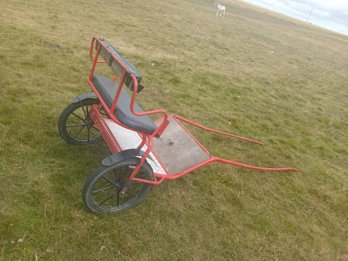 Carts and sulkys - Image 2