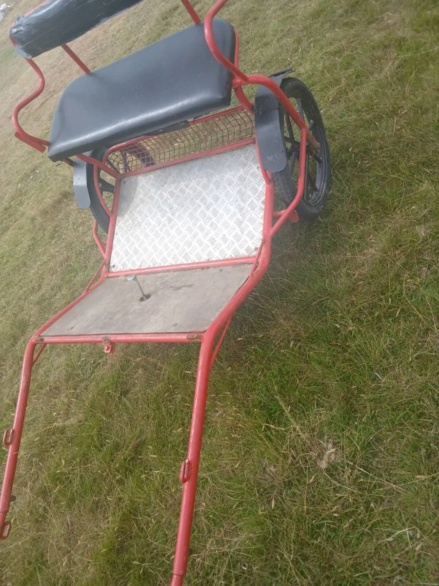 Carts and sulkys - Image 3