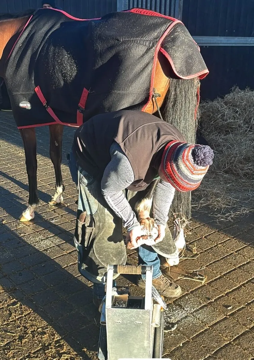 Farrier - Image 1