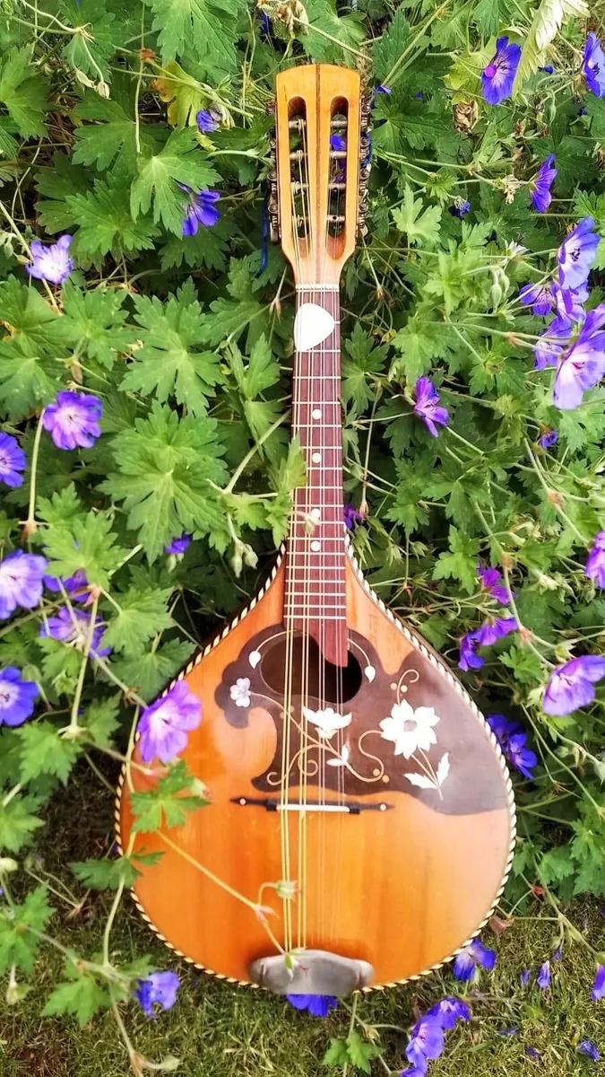 Mandolin - Image 1