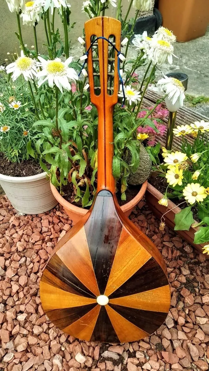 Mandolin - Image 3